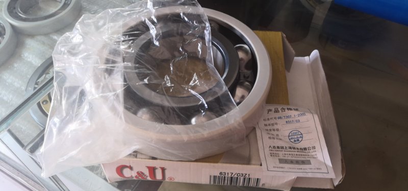 Electric insulated bearing 6317 M/C3VL0241 INSOCOAT bearing