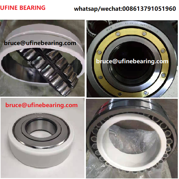 6317M-C3-J20B Insulated Deep Groove Ball Bearing